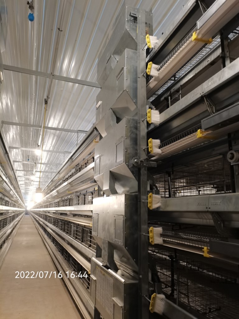 portfolio item image